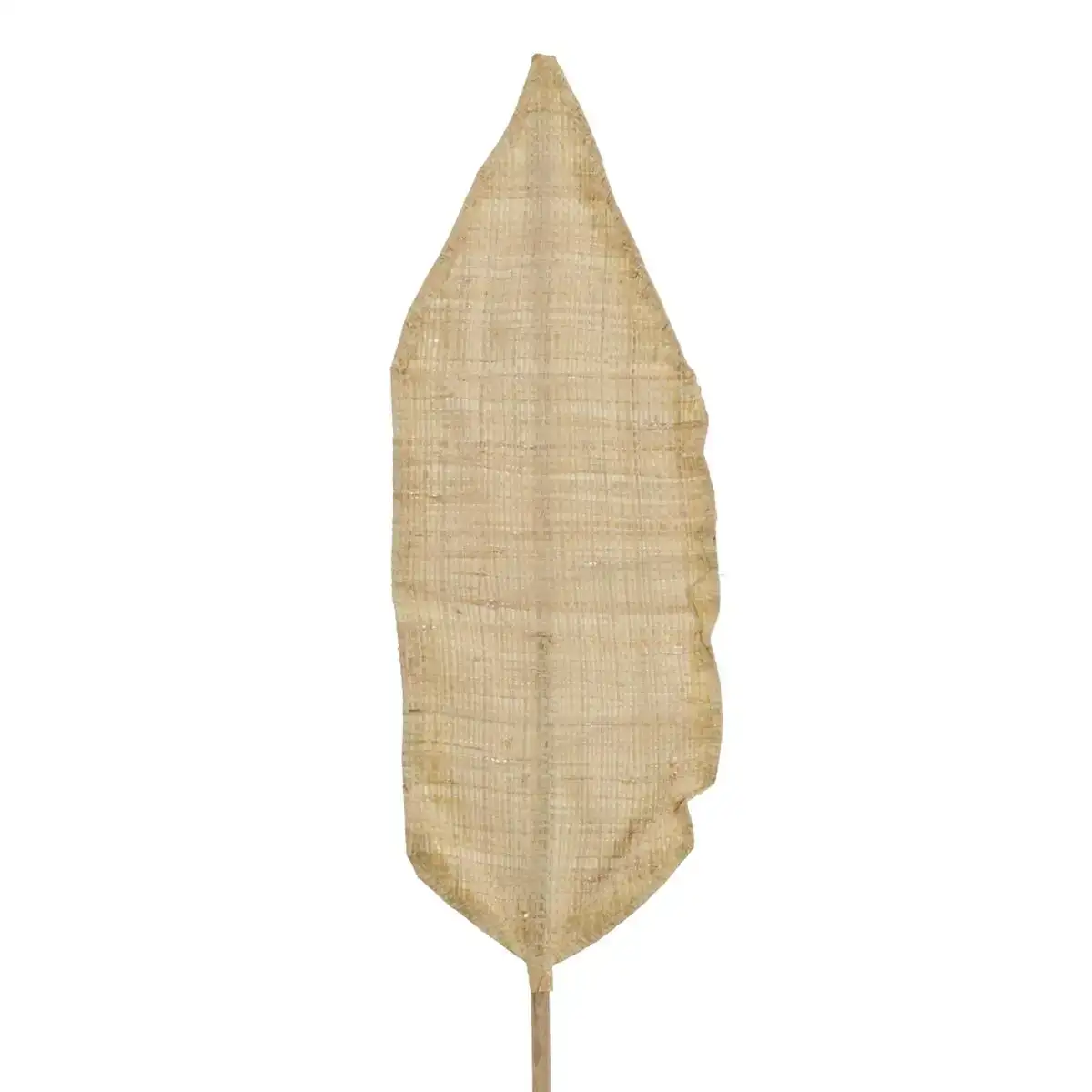 Branche 20 x 8 x 200 cm naturel fibre naturelle_8038. DIAYTAR COTE D'IVOIRE - Votre Passage vers le Raffinement. Plongez dans notre univers de produits exquis et choisissez des articles qui ajoutent une touche de sophistication à votre vie.