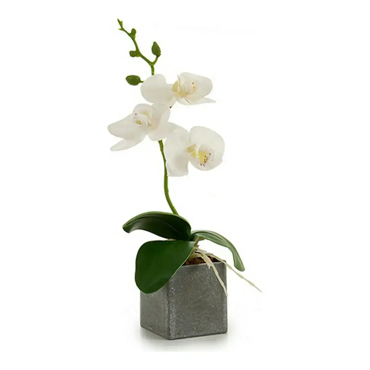 Cache pot violet rose lilas blanc plastique_7476. DIAYTAR COTE D'IVOIRE - Où Choisir Devient une Découverte. Explorez notre boutique en ligne et trouvez des articles qui vous surprennent et vous ravissent à chaque clic.
