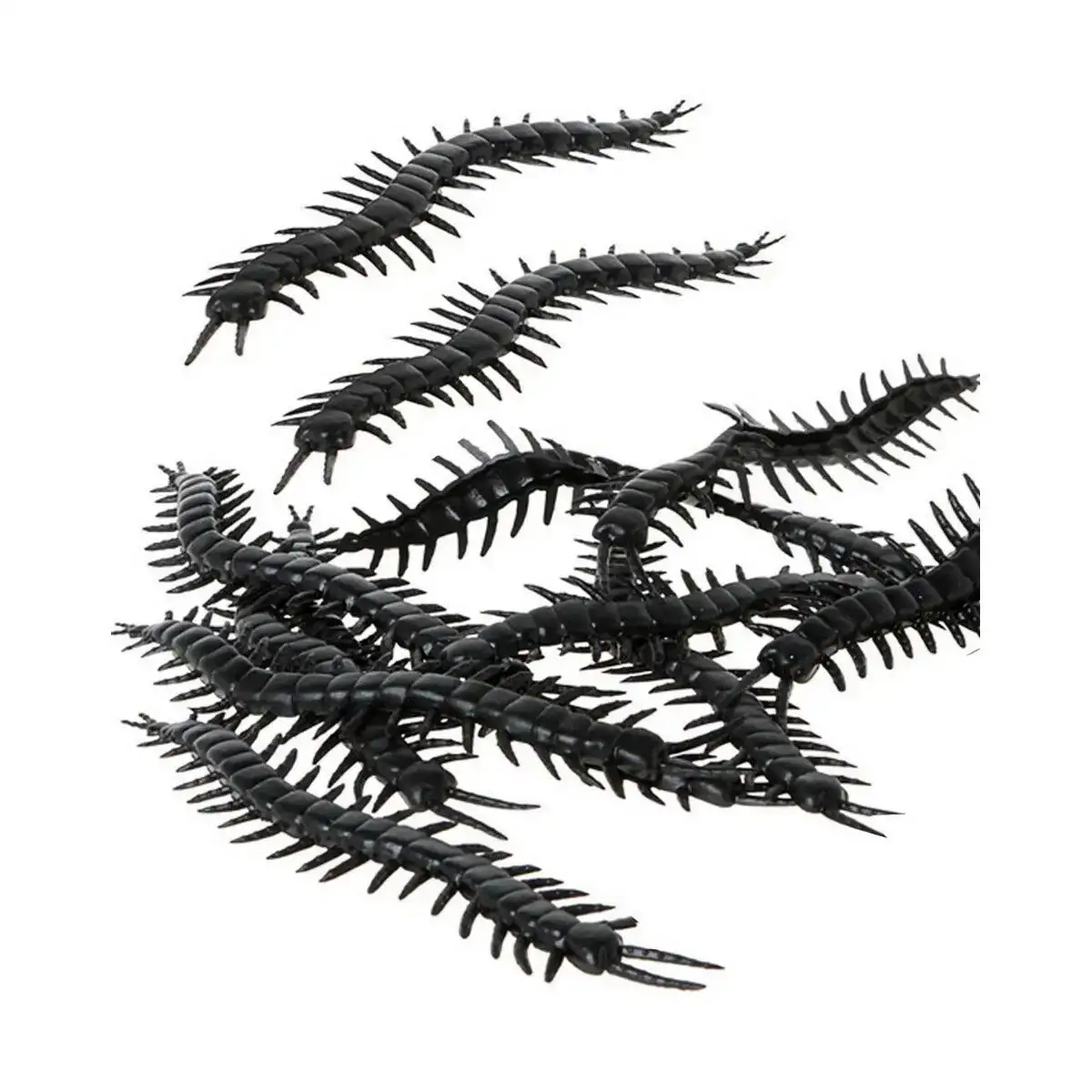 De corations d halloween noir 12 unite s_3565. DIAYTAR COTE D'IVOIRE - Là où Chaque Clic Compte. Parcourez notre boutique en ligne et laissez-vous guider vers des trouvailles uniques qui enrichiront votre quotidien.