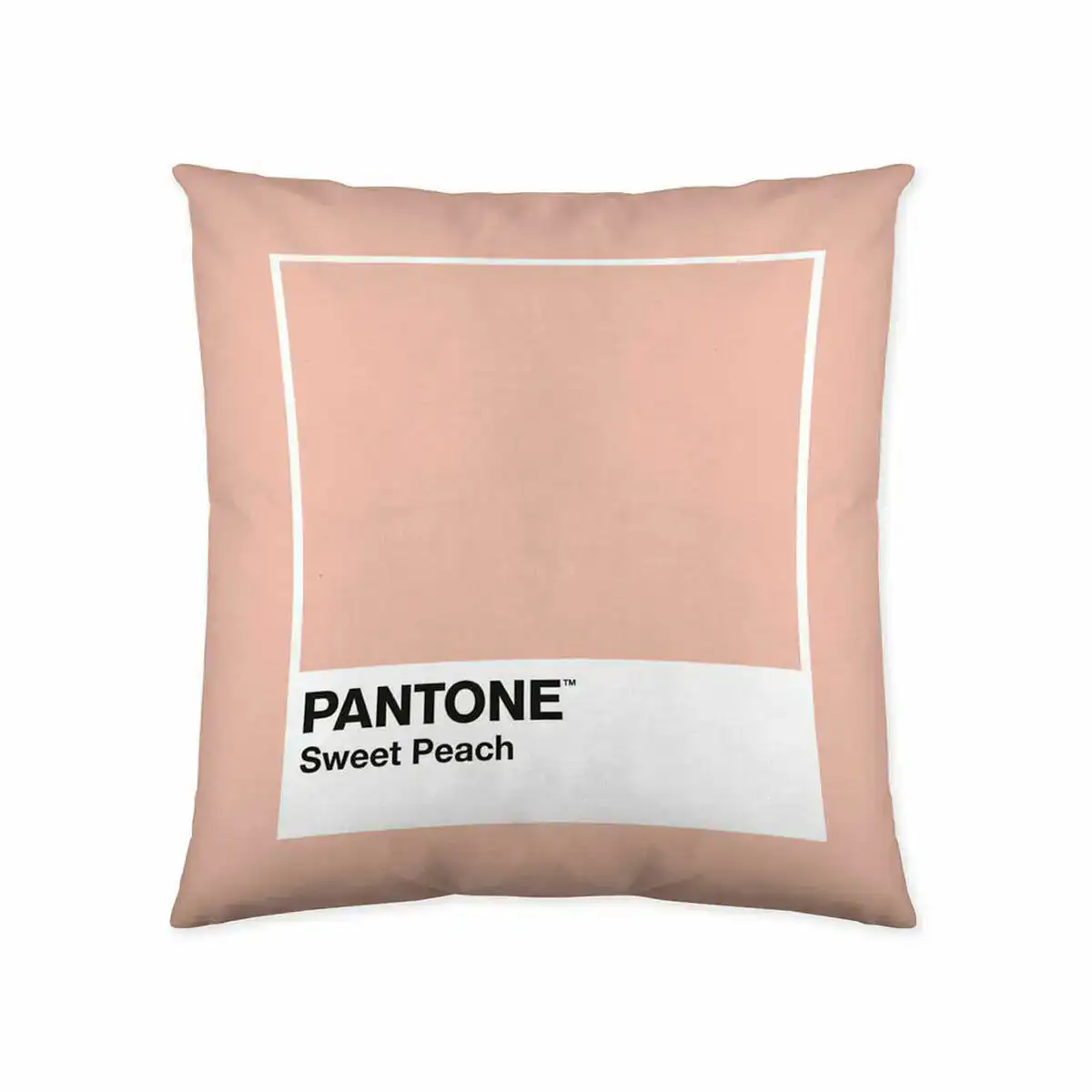 Housse de coussin sweet peach pantone 50 x 50 cm_8179. DIAYTAR COTE D'IVOIRE - L'Art de Choisir, l'Art de Vivre. Parcourez notre boutique en ligne et découvrez des produits qui transforment chaque choix en une expérience enrichissante.
