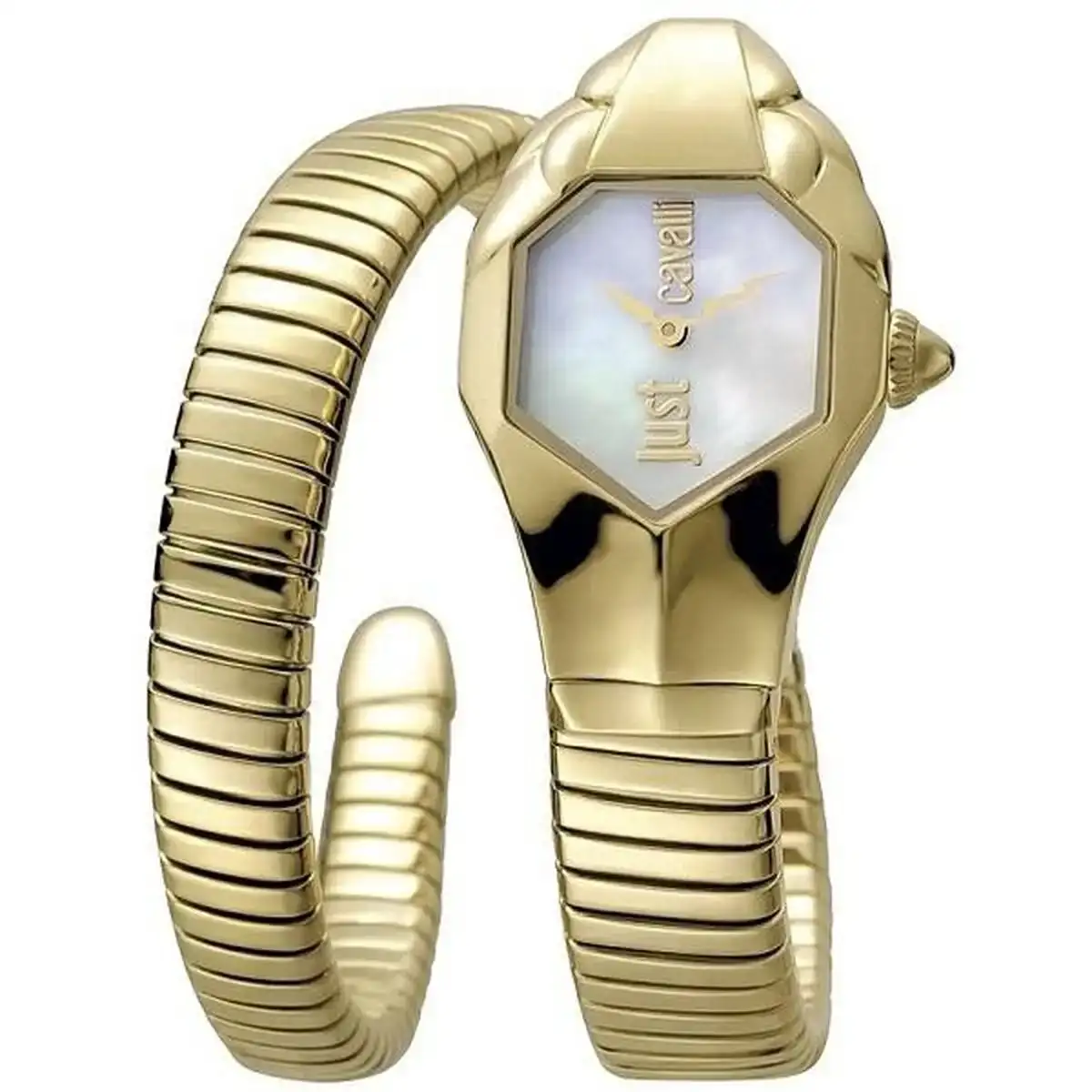 Montre femme just cavalli glam chic snake ø 22 mm_8272. Découvrez DIAYTAR COTE D'IVOIRE - Où l'Élégance Rencontre la Variété. Parcourez notre collection et trouvez des trésors cachés qui ajoutent une touche de sophistication à votre vie quotidienne.
