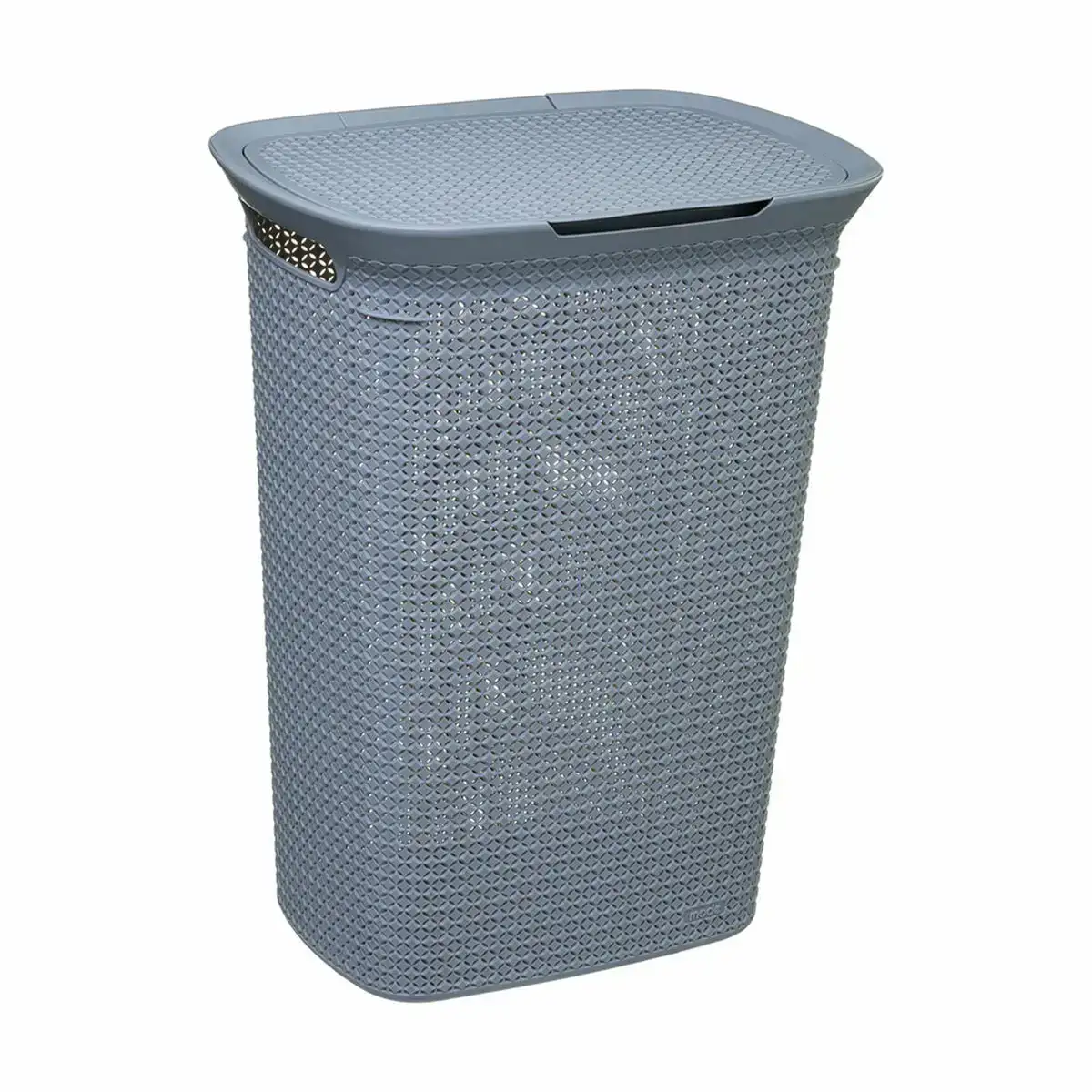 Panier a linge 5five 61 5 x 46 x 35 cm gris 57 l polypropyle ne_8710. DIAYTAR COTE D'IVOIRE - Votre Escapade Shopping Virtuelle. Explorez notre boutique en ligne et dénichez des trésors qui évoquent la culture et le savoir-faire sénégalais, un clic à la fois.