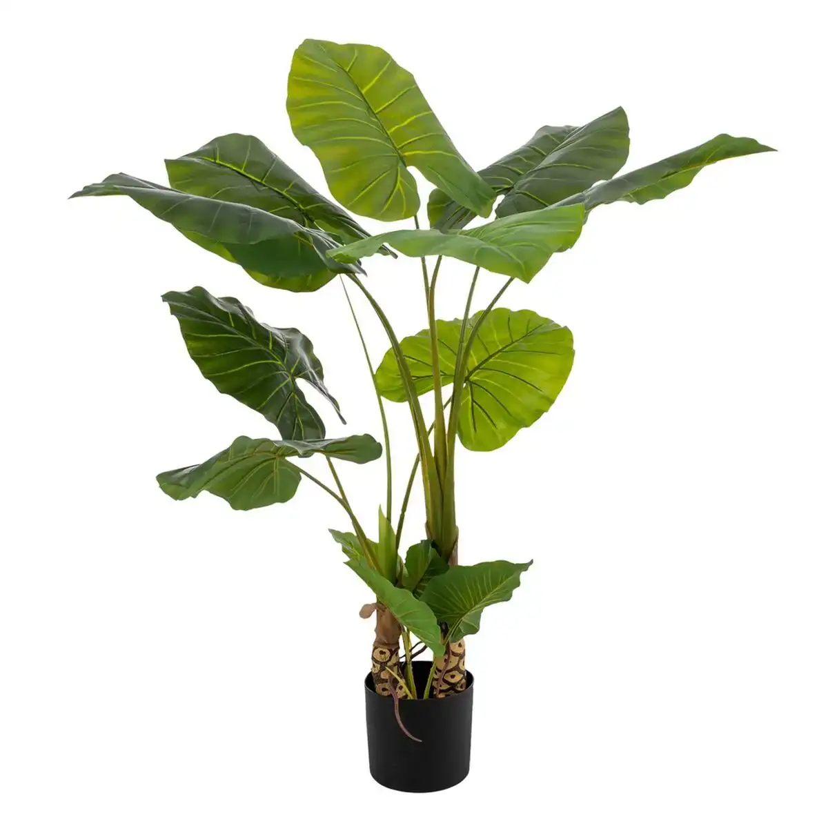 Plante de co 80 x 90 x 140 cm philodendron vert_4727. Bienvenue sur DIAYTAR COTE D'IVOIRE - Où le Shopping est une Affaire Personnelle. Découvrez notre sélection et choisissez des produits qui reflètent votre unicité et votre individualité.