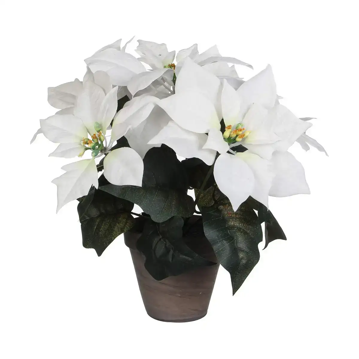 Plante de co pvc blanc 27 x 35 cm_3252. DIAYTAR COTE D'IVOIRE - Où Choisir Devient un Plaisir. Découvrez notre boutique en ligne et choisissez parmi une variété de produits qui satisferont tous vos besoins.