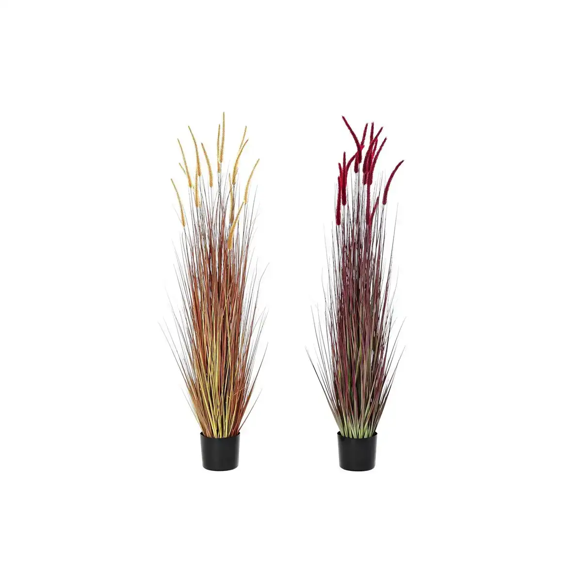 Plante de corative dkd home decor orange polye thyle ne bordeaux pvc 30 x 30 x 150 cm 2 unite s_4207. DIAYTAR COTE D'IVOIRE - Votre Oasis de Shopping en Ligne. Explorez notre boutique et découvrez des produits qui ajoutent une touche de magie à votre quotidien.