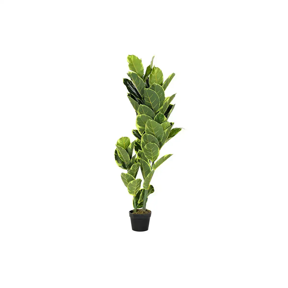 Plante de corative dkd home decor polye thyle ne vert 40 x 40 x 120 cm urban_5785. DIAYTAR COTE D'IVOIRE - Là où l'Élégance Devient un Mode de Vie. Naviguez à travers notre gamme et choisissez des produits qui apportent une touche raffinée à votre quotidien.