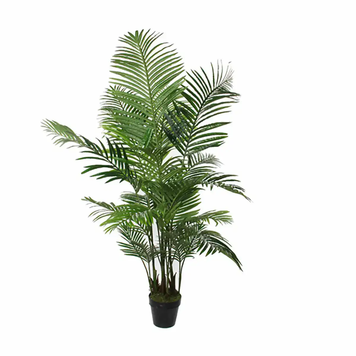 Plante de corative mica de corations palmier vert 80 x 160 cm_6153. DIAYTAR COTE D'IVOIRE - Votre Oasis de Shopping en Ligne. Explorez notre boutique et découvrez des produits qui ajoutent une touche de magie à votre quotidien.