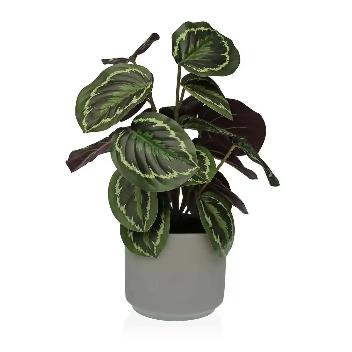 Plante de corative versa 15 x 40 5 x 15 cm ciment plastique_8260. DIAYTAR COTE D'IVOIRE - L'Art de Vivre l'Élégance Accessible. Parcourez notre gamme variée et choisissez des produits qui ajoutent une touche de sophistication à votre style.