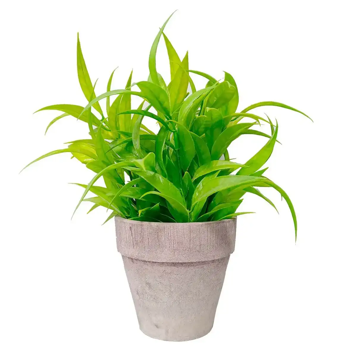 Plante de corative versa plastique fer 10 5 x 23 x 10 5 cm_3011. Entrez dans le Monde de DIAYTAR COTE D'IVOIRE - Où Chaque Article Raconte une Histoire Unique. Explorez notre boutique en ligne pour dénicher des trésors qui incarnent l'âme du Côte d'Ivoire.