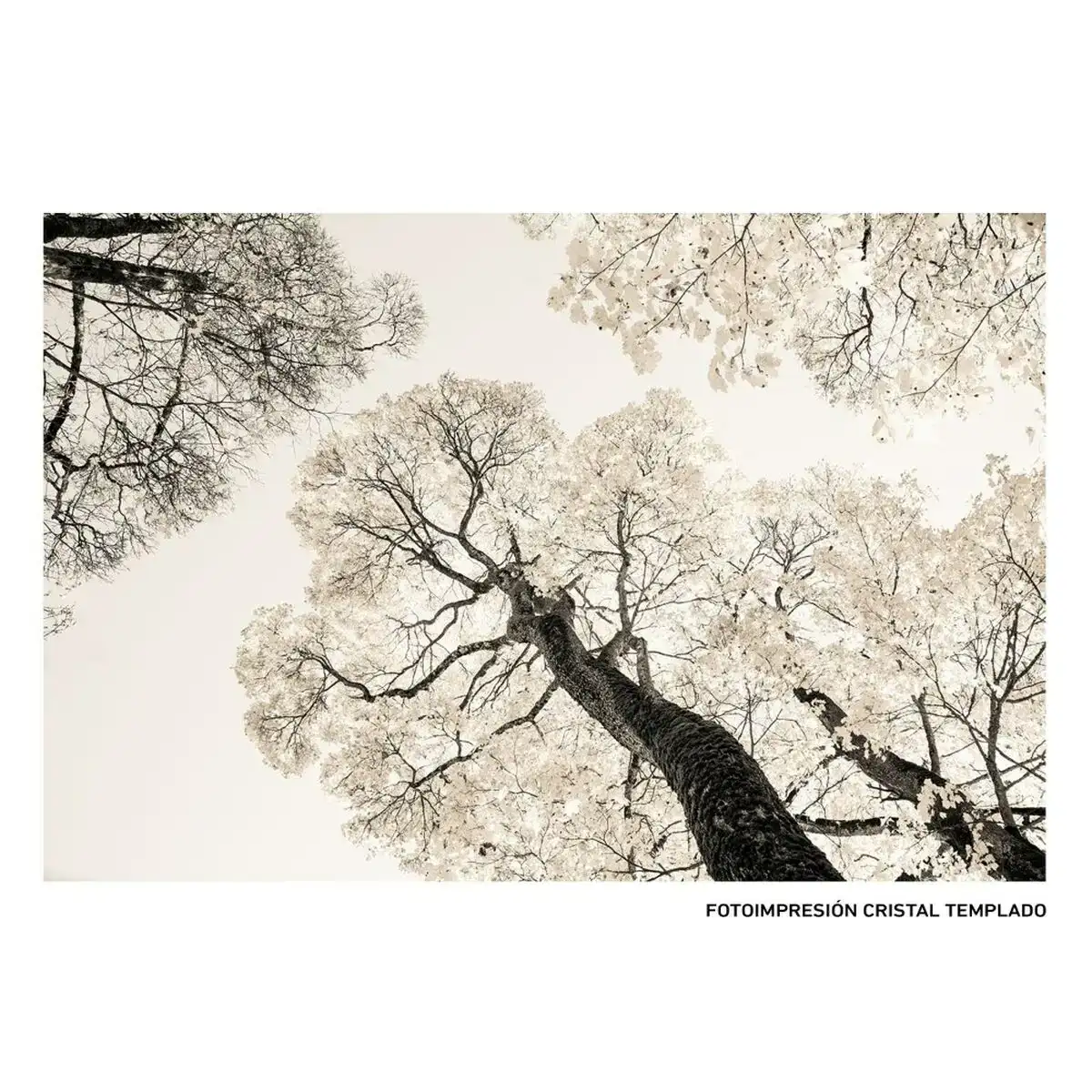 Toile arbres 120 x 4 x 80 cm_5546. DIAYTAR COTE D'IVOIRE - Votre Destination pour un Shopping Inoubliable. Naviguez à travers notre catalogue et choisissez des produits qui vous marquent par leur originalité.