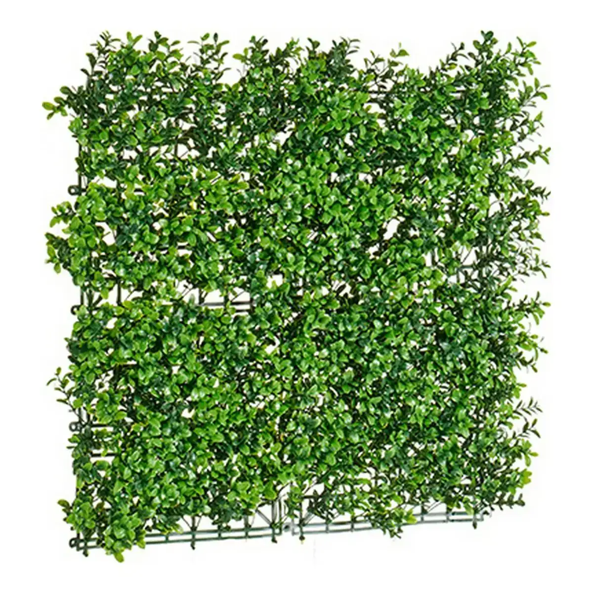 Ve ge tal de co plastique vert 50 x 5 x 50 cm_8025. Bienvenue sur DIAYTAR COTE D'IVOIRE - Là où le Shopping Devient une Aventure. Explorez notre catalogue et dénichez des trésors qui élargiront votre horizon shopping.