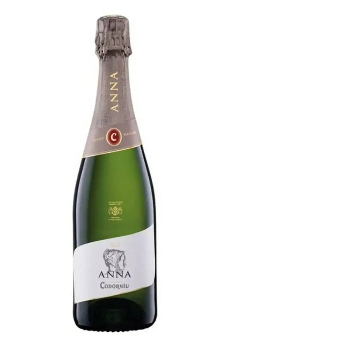 Vin mousseux anna brut codorniu 75 cl_7328. DIAYTAR COTE D'IVOIRE - Votre Destination de Shopping Authentique au Côte d'Ivoire. Plongez dans notre boutique en ligne pour découvrir des produits qui célèbrent la riche culture et l'artisanat du pays.