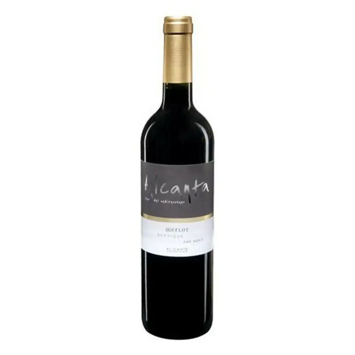 Vin rouge alcanta merlot 75 cl_4150. DIAYTAR COTE D'IVOIRE - Votre Pass vers la Découverte. Explorez notre boutique en ligne et plongez dans un voyage à travers des produits authentiques et contemporains, tous réunis sous un même toit.