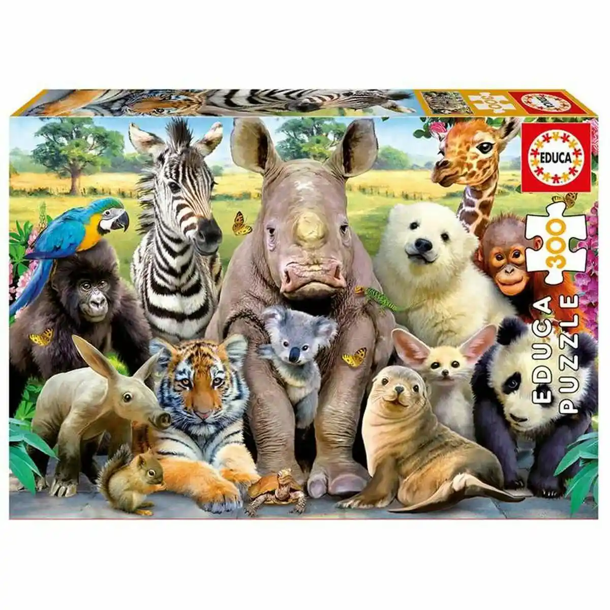 Puzzle Educa EB15908 300 pièces. SUPERDISCOUNT FRANCE
