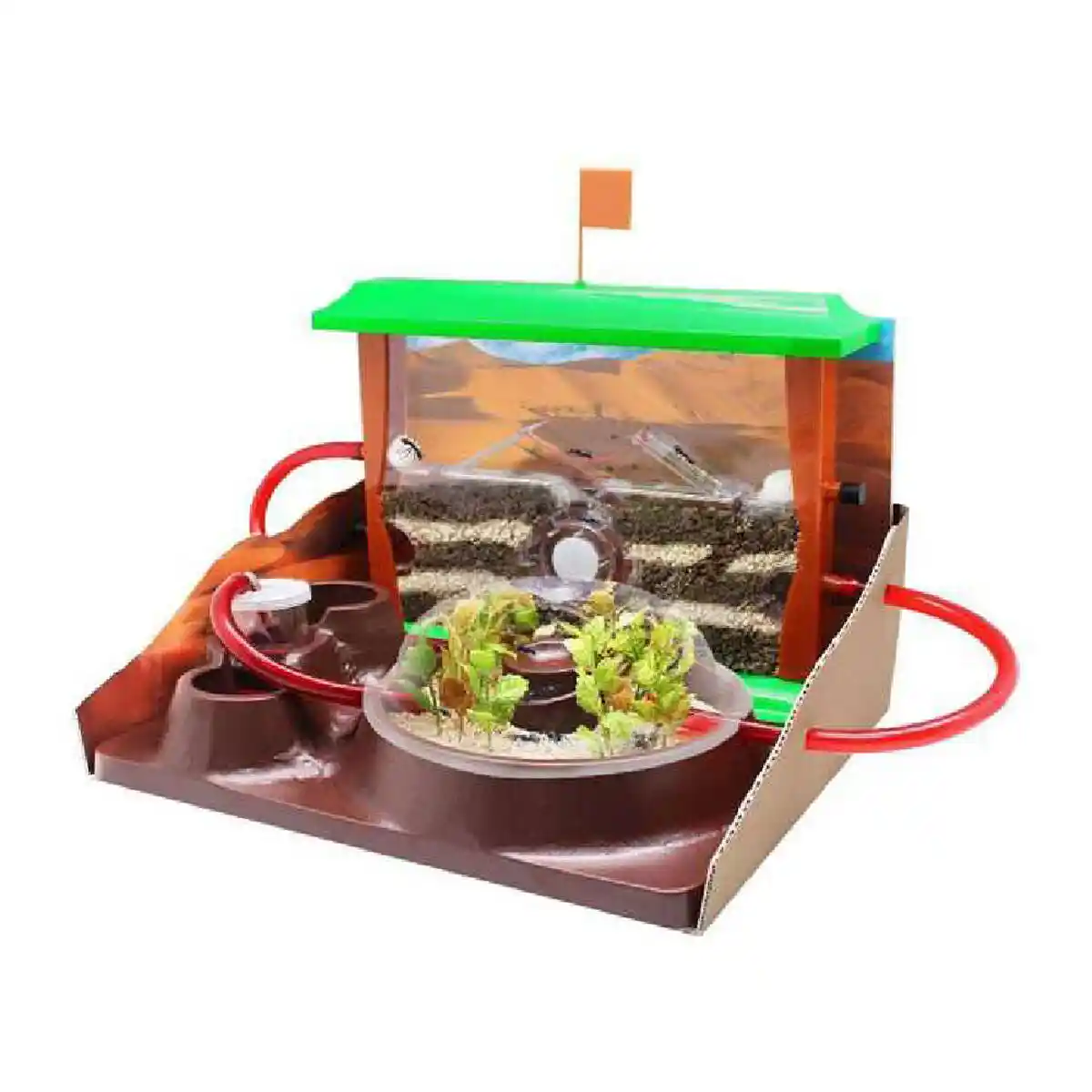 Jeu éducatif Hormicefa 2.0 Cefatoys (ES). SUPERDISCOUNT FRANCE