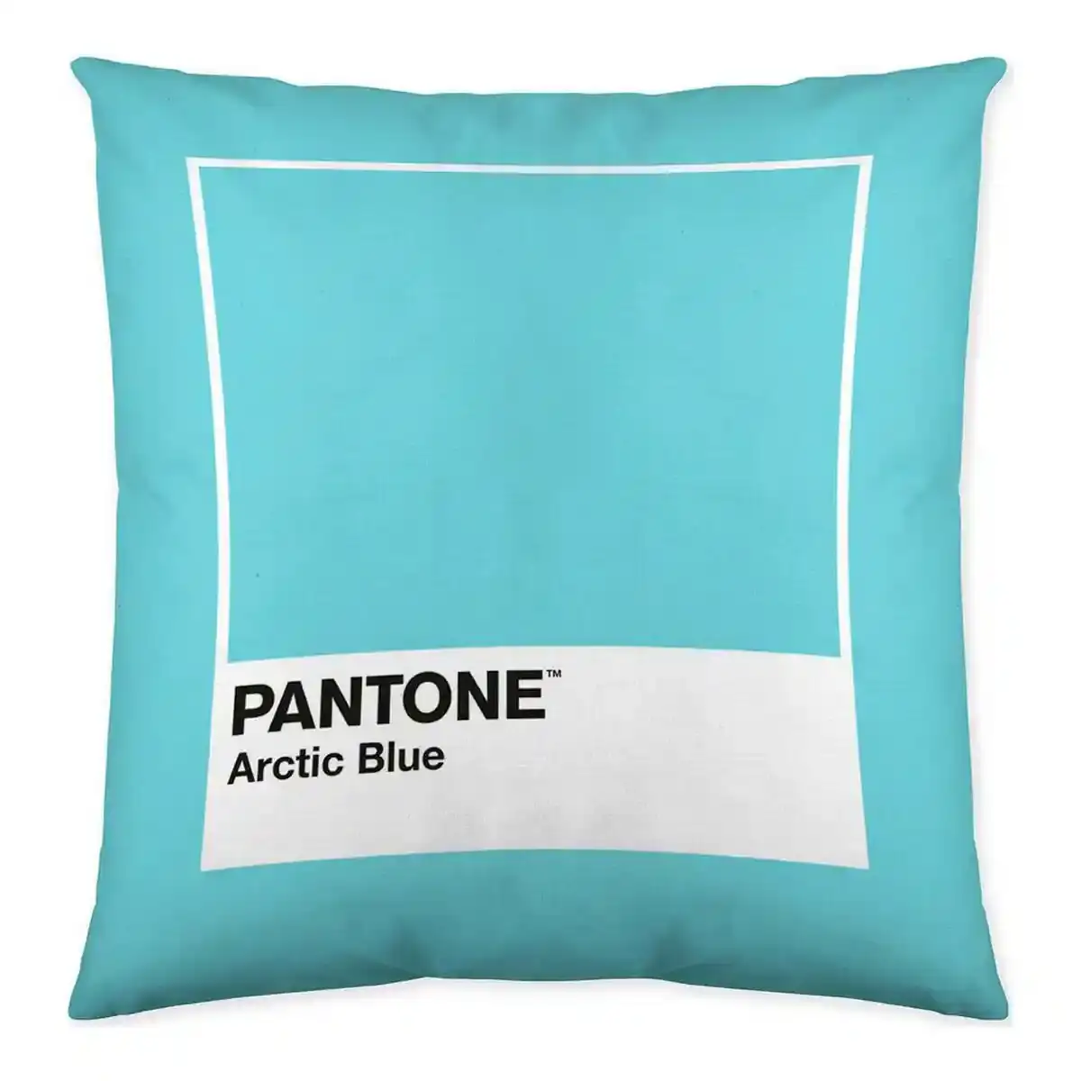 Housse de coussin fun deck a localisation pantone b086jq9xyg reversible 50 x_3123. DIAYTAR COTE D'IVOIRE - Là où Choisir est un Acte d'Amour pour le Côte d'Ivoire. Explorez notre gamme et choisissez des produits qui célèbrent la culture et l'artisanat du pays.