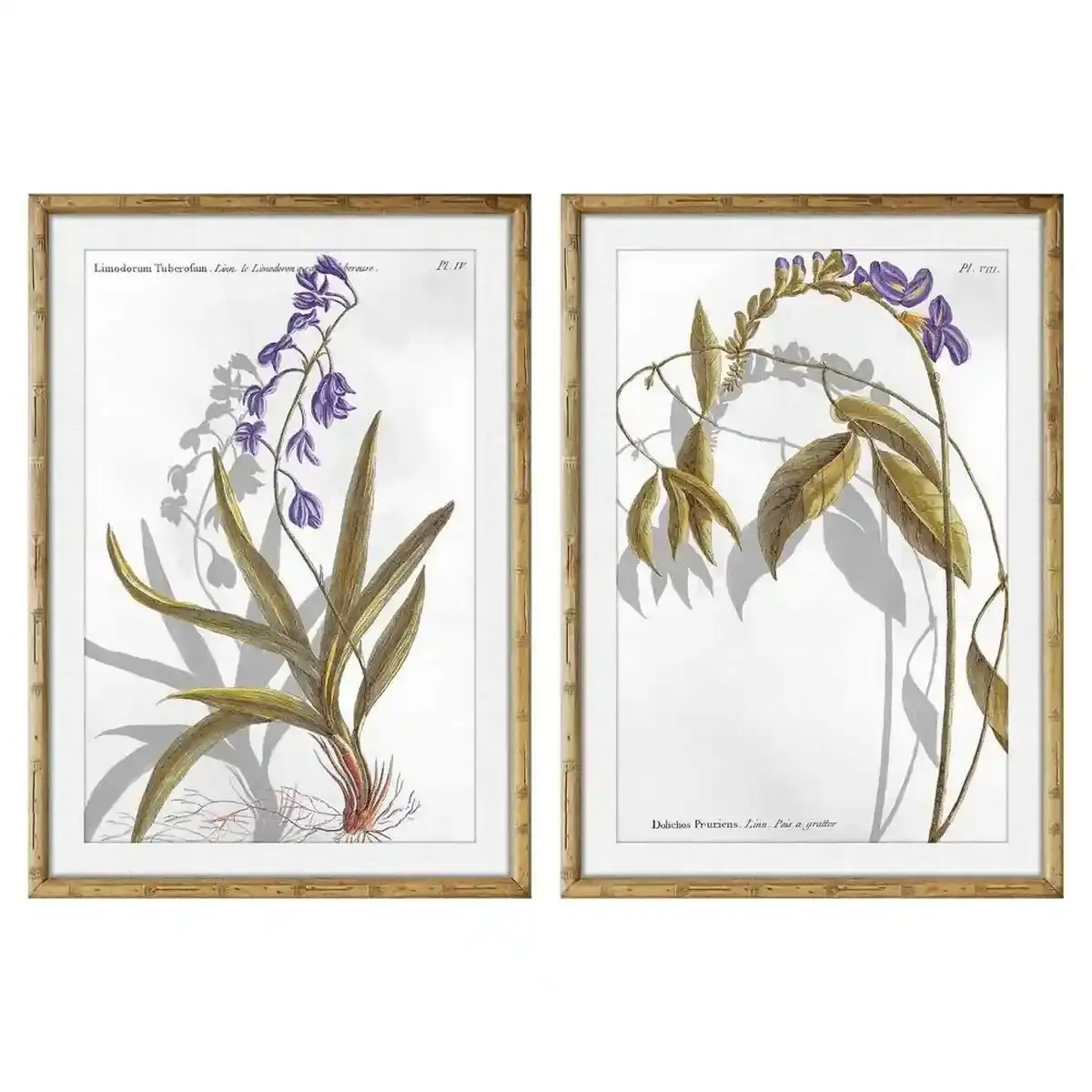 Peinture dkd home decor 50 x 2 x 70 cm plantes_1837. DIAYTAR COTE D'IVOIRE - Votre Boutique en Ligne, Votre Choix Illimité. Parcourez nos rayons et découvrez des produits qui vous inspirent, de la mode à la maison et bien plus.