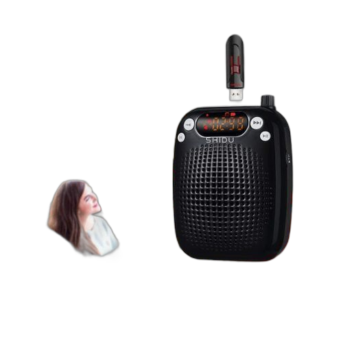 Amplificateur voix portable avec micro casque sans fil pour conférenciers