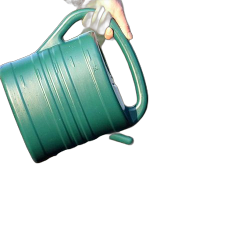 Arrosoir de jardin avec tête d'arrosage, bec long pour la plantation