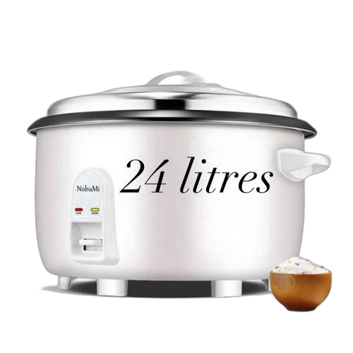 Autocuiseur électrique, cuisson douce et rapide