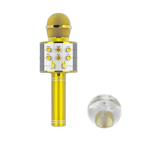 Bluetooth sans fil microphone karaoké or