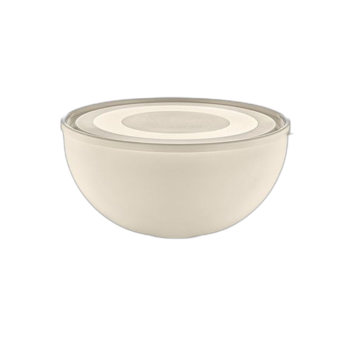 Bol saladier ronde avec couverture le plastique sain 4 lt