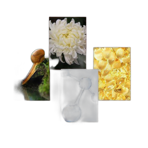 Collagen snail gel apaisant d'escargot collagène hydratant en profondeur 300ml