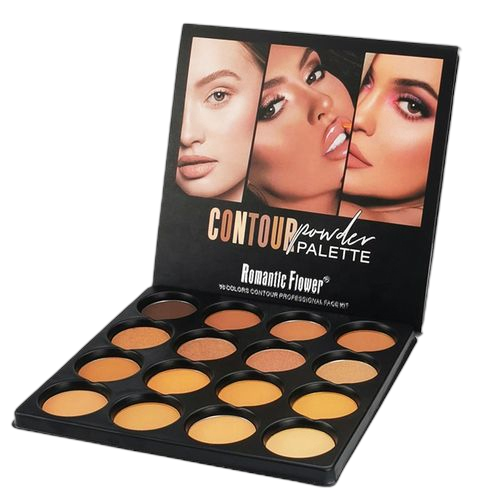 Contour palette de poudre de maquillage de fond de teint mat de 16 couleurs