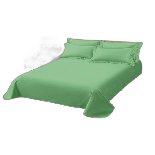 Drap et 2 taies d'oreiller vert parure double lit