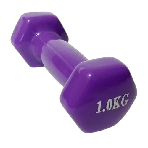Ensemble d'haltères fitness 10 kg ensemble fitbell
