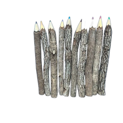 Ensemble de 10 crayon de couleur en bois forme bois mort