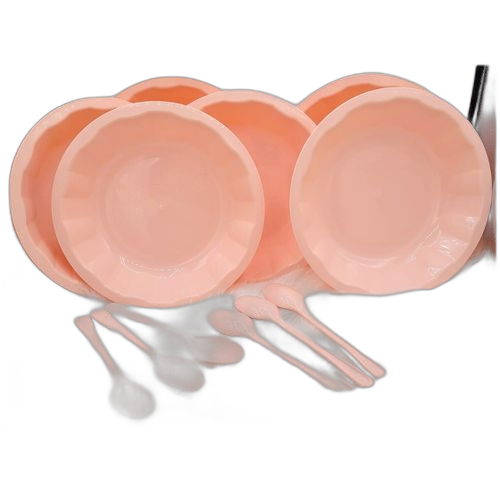 Ensemble de 12 plats et 12 cuillères en plastique saumon