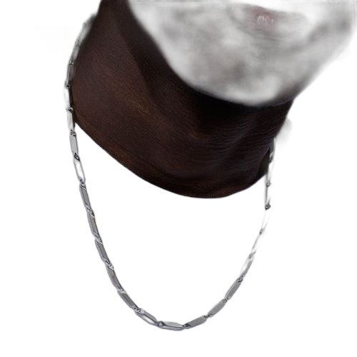 Fashion collier biling/biling unisex rec arg