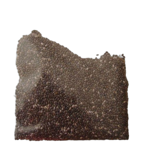 Graine de chia 100g