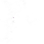 Guirlande lumineuse micro led en forme de lune étoile 5mètres