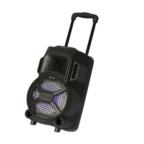 Haut parleur portable karaoké avec bluetooth