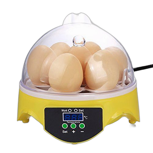 Incubator 7eggs automatic incubator early education artifac