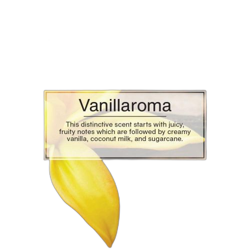 Little trees désodorisant automobile/maison/bureauvaporisateur – vanille103ml