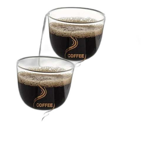 Lot de 2 tasse a cafe double paroi avec poignées