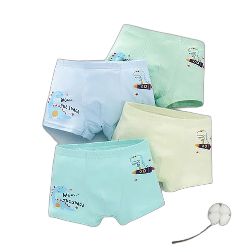 Lot de 4 caleçons garçons