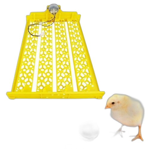 Mini incubateur 88 œufs de volaille avec moteur couveuse dc 12v