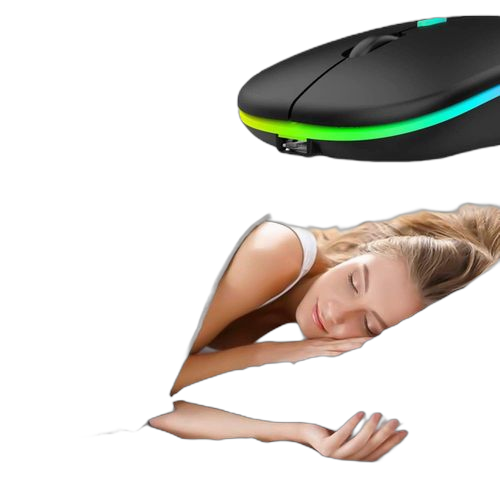 Mini souris sans fil rechargeable 2.4g noir