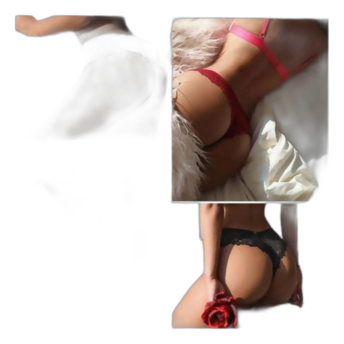 Pack de 12 dessous en dentelle