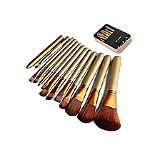 Pack de 12 pinceaux maquillage doré boite argente