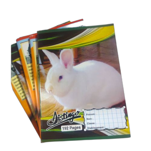 Pack de 5 cahier de 200 pages petit format