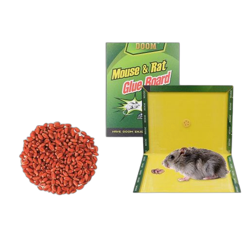 Pack graines raticides 100g + 1 piège à leurres edge