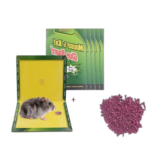 Pack graines raticides 100g + 6 piège à leurres edge