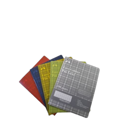 Paquet de 10 cahiers de 100 pages couverture plastique