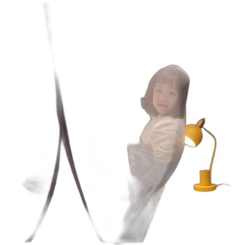 Porte pliable à fermeture éclair pour tente moustiquaire