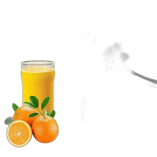 Presse fruits en acier inoxydable, presse agrumes 12 trous argenté